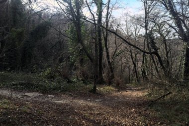 Sonbaharda yamaçta çamurlu patika