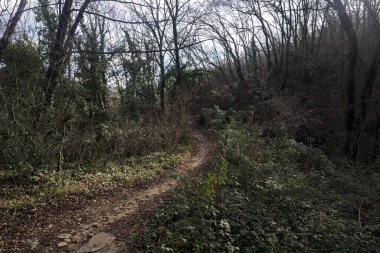 Sonbaharda yamaçta çamurlu patika