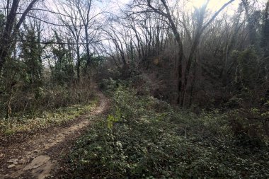 Sonbaharda yamaçta çamurlu patika