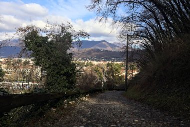 Ormandaki bir yamaçta kaldırımlı yol