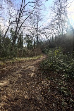 Sonbaharda yamaçta çamurlu patika