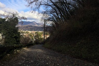 Ormandaki bir yamaçta kaldırımlı yol
