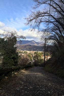 Ormandaki bir yamaçta kaldırımlı yol