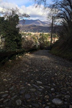 Ormandaki bir yamaçta kaldırımlı yol