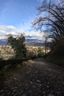 Ormandaki bir yamaçta kaldırımlı yol