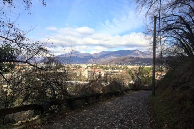 Ormandaki bir yamaçta kaldırımlı yol