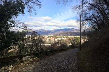 Ormandaki bir yamaçta kaldırımlı yol