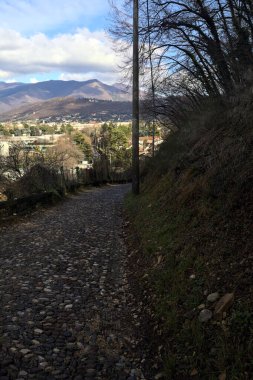 Ormandaki bir yamaçta kaldırımlı yol