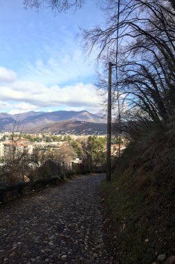 Ormandaki bir yamaçta kaldırımlı yol