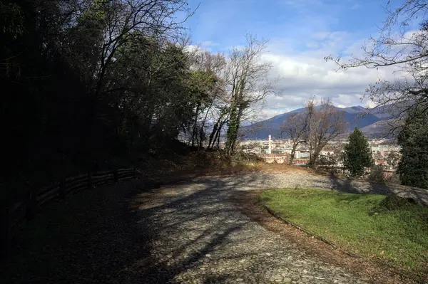 Ormandaki bir yamaçta kaldırımlı yol