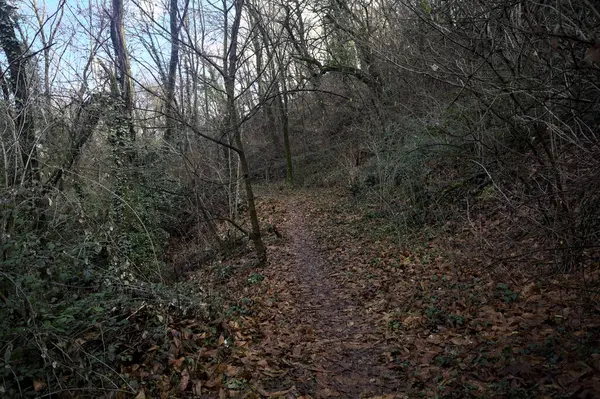 Sonbaharda yamaçta çamurlu patika