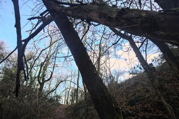 Sonbaharda yamaçta çamurlu patika