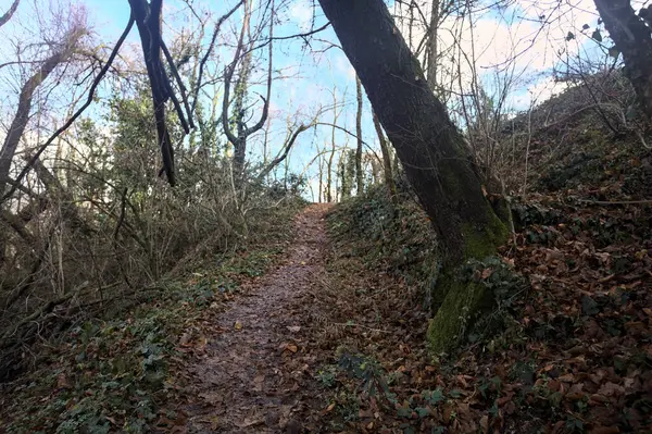 Sonbaharda yamaçta çamurlu patika