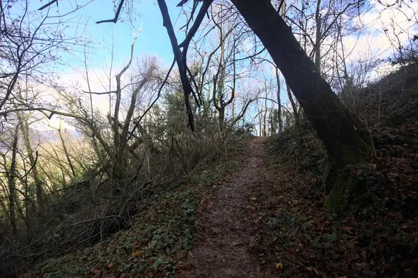 Sonbaharda yamaçta çamurlu patika