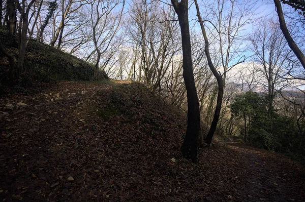 Sonbaharda yamaçta çamurlu patika