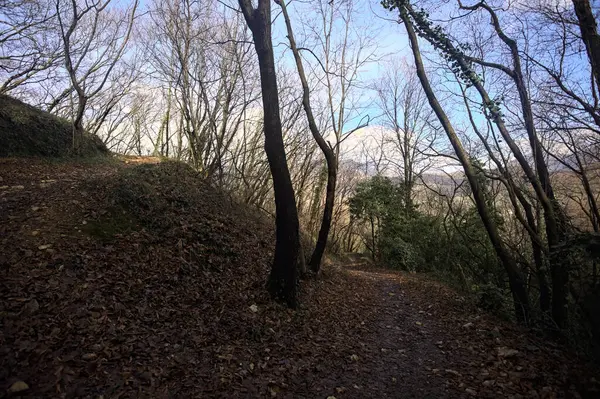 Sonbaharda yamaçta çamurlu patika