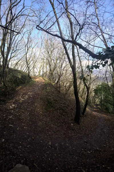 Sonbaharda yamaçta çamurlu patika