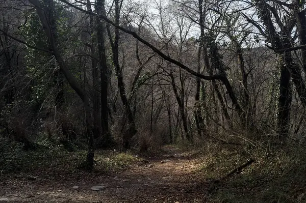 Sonbaharda yamaçta çamurlu patika