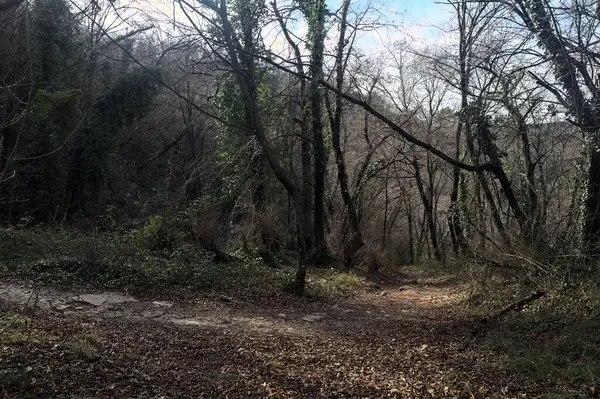 Sonbaharda yamaçta çamurlu patika