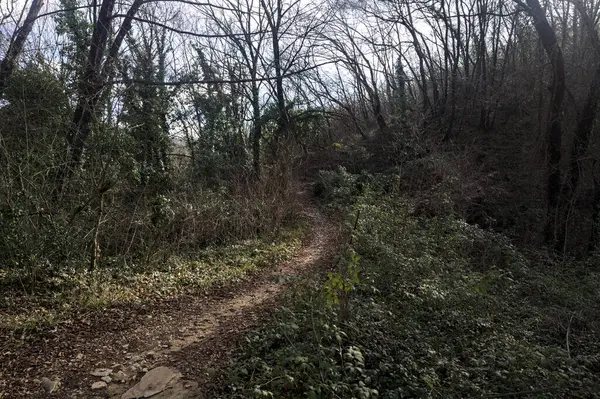 Sonbaharda yamaçta çamurlu patika