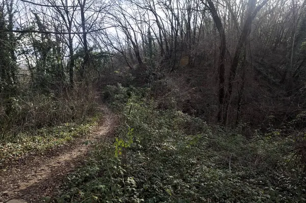 Sonbaharda yamaçta çamurlu patika