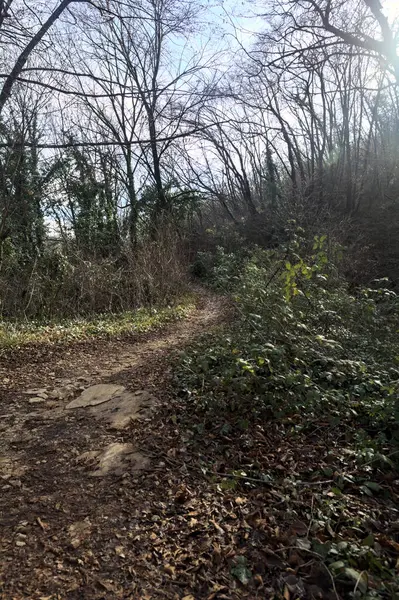 Sonbaharda yamaçta çamurlu patika