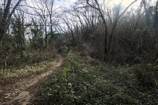 Sonbaharda yamaçta çamurlu patika