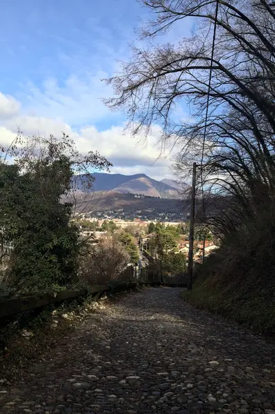 Ormandaki bir yamaçta kaldırımlı yol