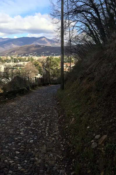 Ormandaki bir yamaçta kaldırımlı yol