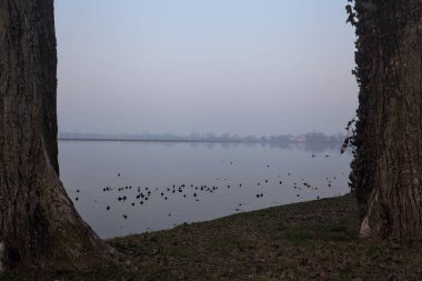 Gün batımında ağaçlarla çevrili göl