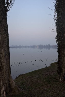 Gün batımında ağaçlarla çevrili göl