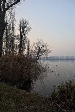 Gün batımında bir parkta Lakeshore