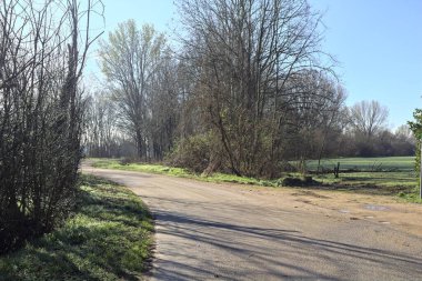 Koruluğun kenarındaki yol.