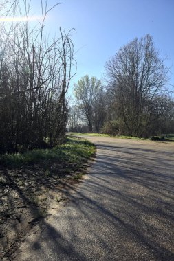 Koruluğun kenarındaki yol.