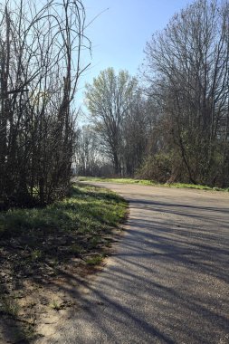 Koruluğun kenarındaki yol.