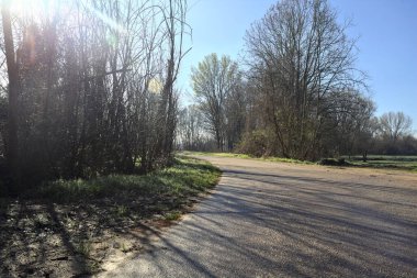 Koruluğun kenarındaki yol.