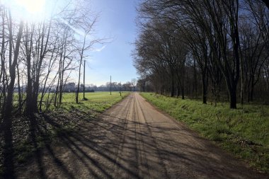 Koruluğun kenarındaki yol.