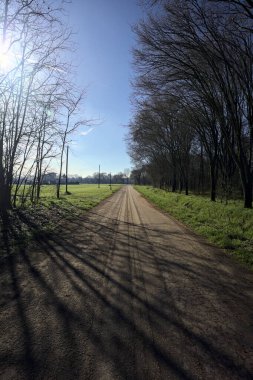 Koruluğun kenarındaki yol.