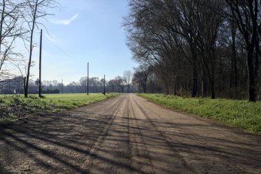 Koruluğun kenarındaki yol.