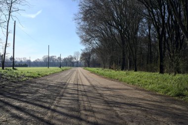 Koruluğun kenarındaki yol.