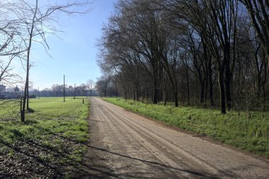 Koruluğun kenarındaki yol.