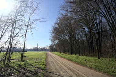 Koruluğun kenarındaki yol.