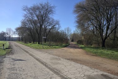 Güneşli bir günde bir korulukta kavşak.