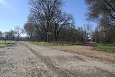 Güneşli bir günde bir korulukta kavşak.