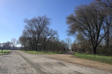 Güneşli bir günde bir korulukta kavşak.