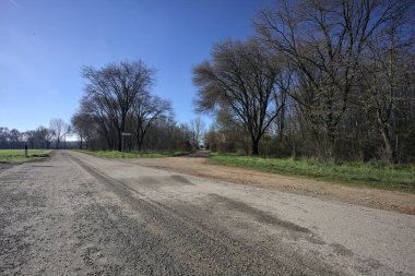 Güneşli bir günde bir korulukta kavşak.