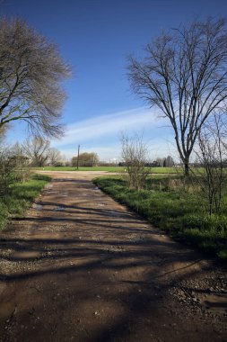 Güneşli bir günde bir korulukta kavşak.