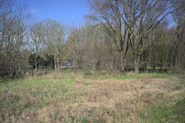 İtalya kırsalında bir parkta meyve bahçesi