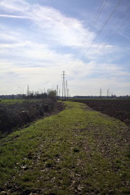 Topraklanmış bir tarlanın ve siperin yanında otlak yolu.