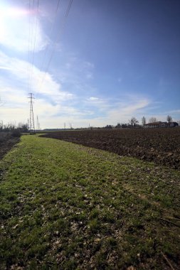 Topraklanmış bir tarlanın ve siperin yanında otlak yolu.